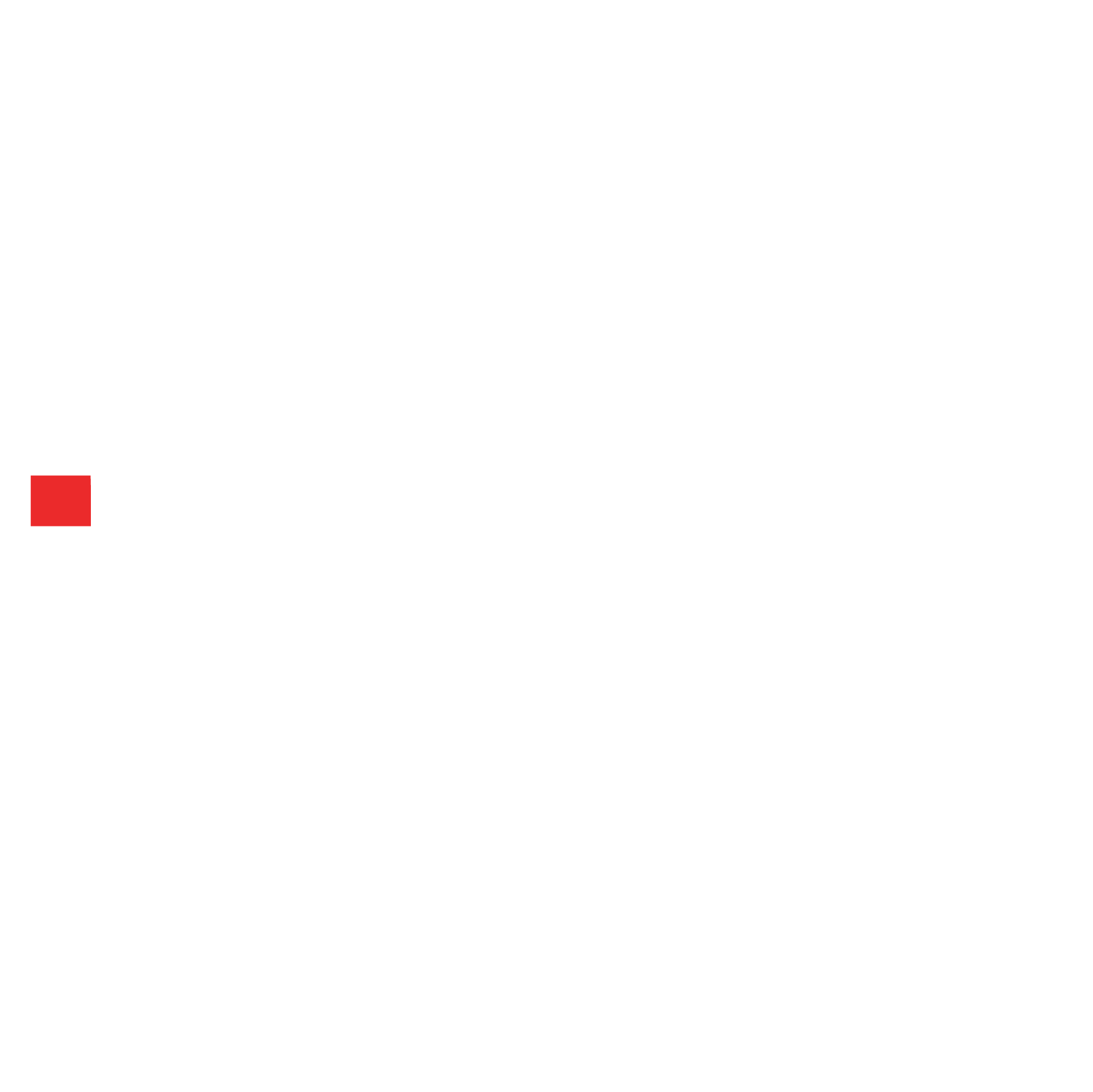 Braidot Logo-02