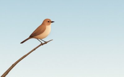 Autoconfianza: el poder silencioso de los líderes